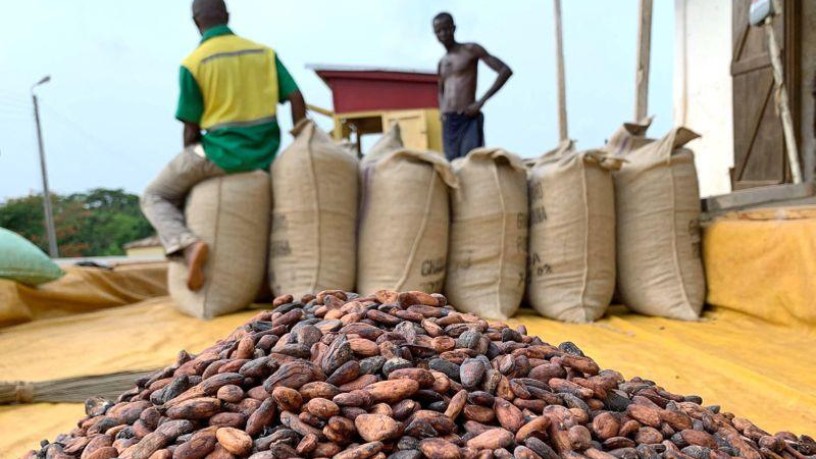 Цените на какаото се покачват до безпрецедентни нива