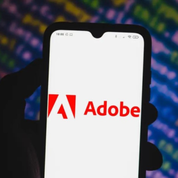 Adobe се препъва въпреки силните си приходи